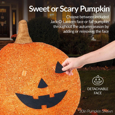 Trove Midnight Jack-o'-Lantern Set