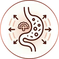 Probiotic-Boosted