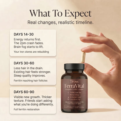 FerraVital Ferritin Support